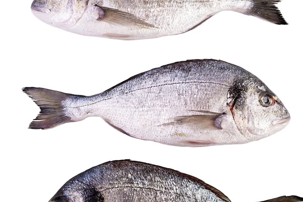 Сира Свіжа Риба Дорадо Ізольована Білому Тлі Позолочена Голова Лящ — стокове фото