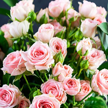 Bir sürü pembe gül buketi. Pembe güllerin arka planı