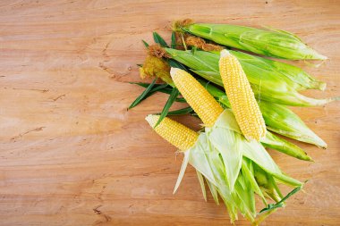 Tahta arka planda izole edilmiş taze sulu mısır. Tahıl ekinleri konsepti