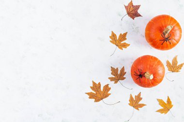 Cadılar Bayramı konsepti. Yapraklar ve mini balkabaklarıyla sonbahar kompozisyonu. Üst görünüm