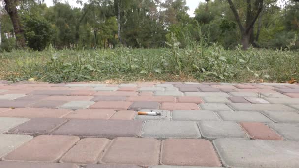 Man Lifted Cigarette Butt Asphalt — 图库视频影像