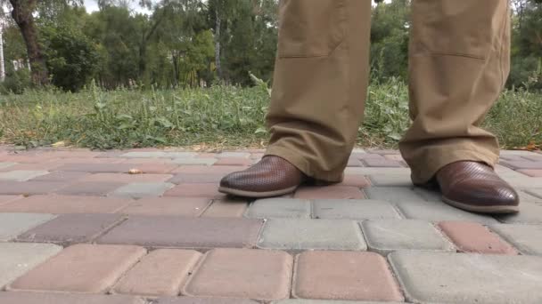 Man Lifted Cigarette Butt Asphalt — стоковое видео