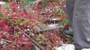 Tuvaleti kullanmak isteyen ve tenha bir yer seçen bir adamın bacakları..