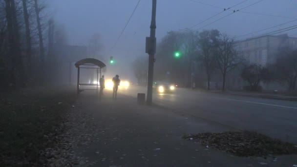 Mgła Mieście Ludzie Przystanku Autobusowym Taksówki — Wideo stockowe