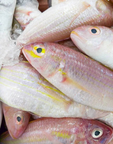 Pescado Rojo Fresco Apila Bandeja Con Hielo Mercado Local Cerca —  Fotos de Stock