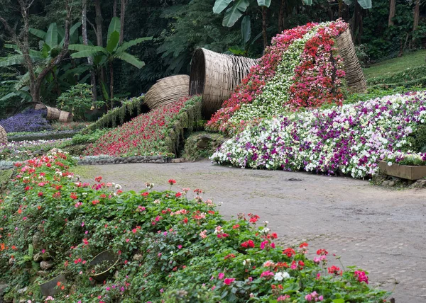 Floreciente Jardín Flores Con Cesta Bambú Para Decorar Largo Del — Foto de Stock