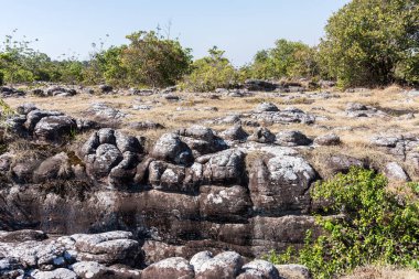 Kumtaşı düğüm yarığı ayrışma Tay Milli Parkı rock Hill.