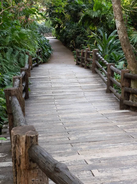 Concrete Bridge Log Tile Way Tropical Zone Botanical Garden — Stock Photo, Image