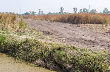 Toprak yol boyunca çim sahası için inşaat sahasına banliyösünde bulunan yeni köy inşa.