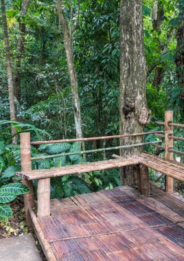 Forest park için yapılan rahatlamak için yüksek ağaç yakınındaki bambu koltuk.
