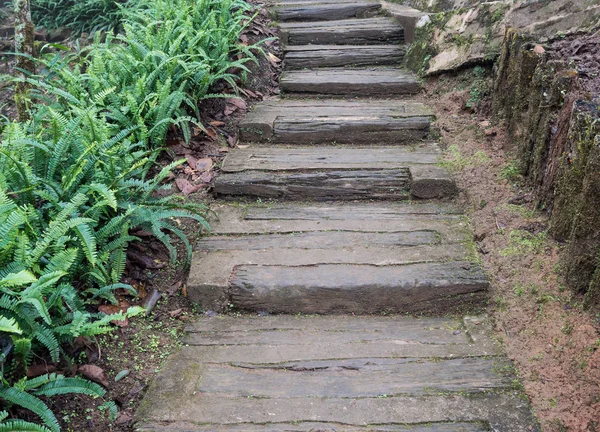 Concrete staircase with the wooden sleeper for up to the hill in the botanical garden.