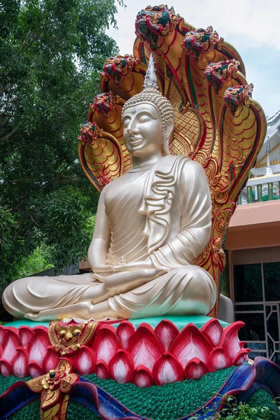 Statua del Buddha bianco con la scultura a sette teste serpente . — Foto Stock