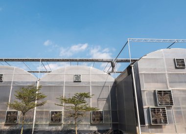 Modern büyük sera.