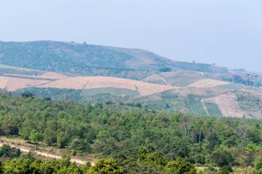 Yüksek Dağı'nda yerel tarım arazileri.
