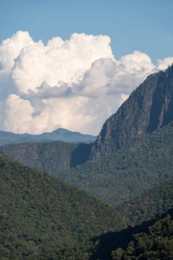 Yağmur ormanı alanında yüksek dağ.