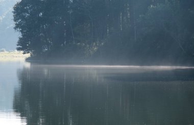 Hafif sis su yüzeyinde şeklinde yüzer.