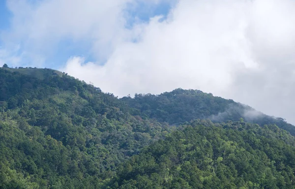 Alta Cordillera Del Parque Nacional Con Nube Luz Mañana Del —  Fotos de Stock