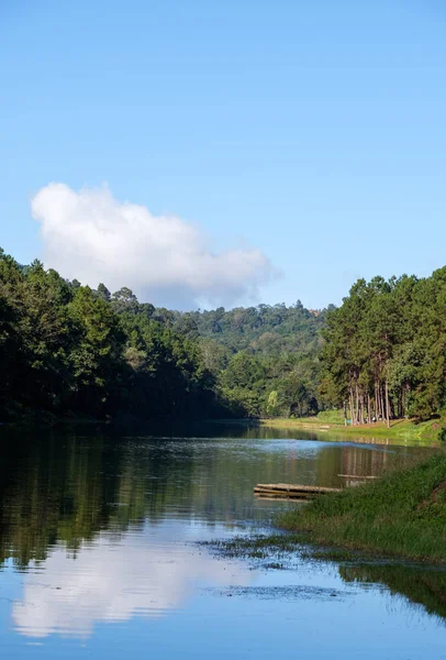 Tayland 'ın kuzeyindeki milli parkın vadisinde bulunan küçük rezervuardaki gezgin için bambu salıyla sakin bir göl..