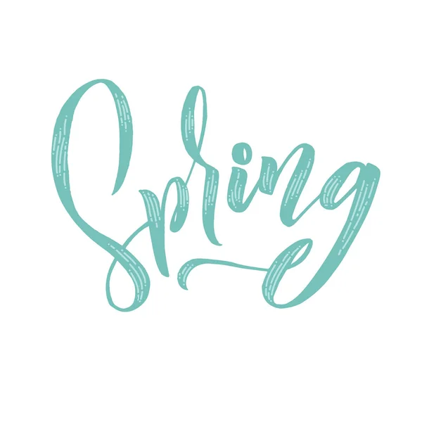 Spring Trendy Script Lettering Design Spring Vector Illustration — Stock Vector