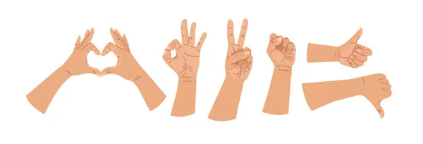Hands human gestures set. Caucasian different human finger gesture signs collection isolated vector illustration — Stock Vector