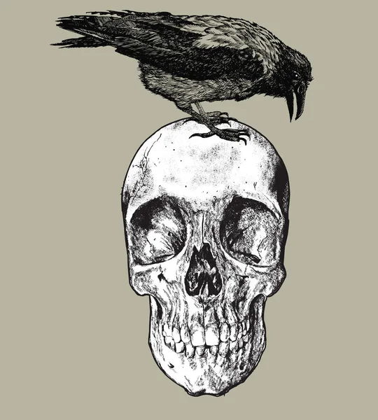 Raven op de schedel, hand tekenen. Vector illustratie — Stockvector