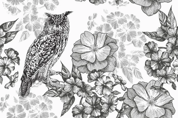 Coruja sentada e padrão floral sem costura com flox e rosas. Desenho à mão, ilustração vetorial . —  Vetores de Stock