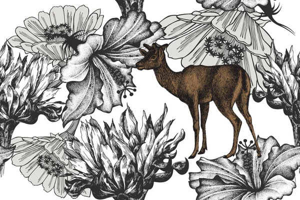 Cervo con ibisco, fiori di cactus nel fiore, zampa senza cuciture — Vettoriale Stock