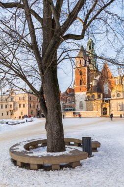 Krakow, Polonya. 07 Ocak 2019. Kışın Wawel Castle. Catsle towers eski ağaç dalları ile gördüm.