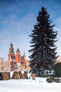 Krakow, Polonya. 07 Ocak 2019. Kışın Wawel Castle. Noel ağacına foreplan