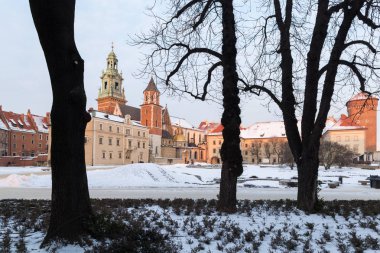 Krakow, Polonya. 07 Ocak 2019. Kışın Wawel Castle. Eski ağaç dalları ile gördüm.