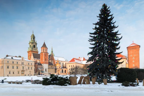 Krakow, Polonya. 07 Ocak 2019. Kışın Wawel Castle. Noel ağacına foreplan. 