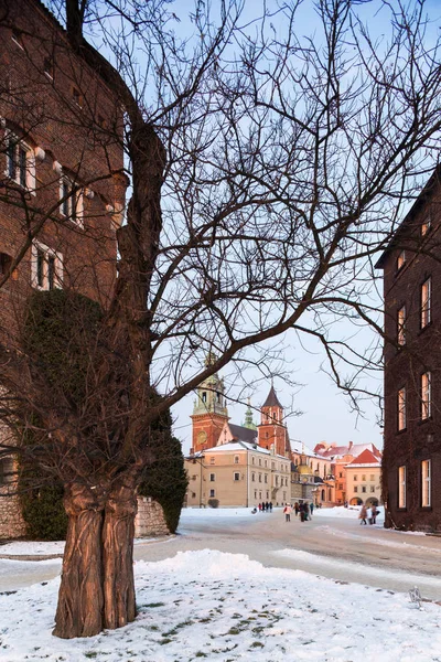 Cracovie Pologne Janvier 2019 Château Wawel Hiver Travers Les Branches — Photo