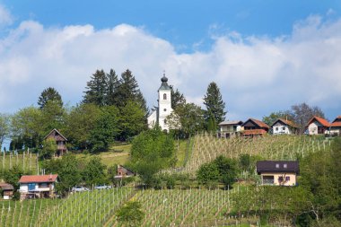 Güney Slovenya'da Lendavske Gorice'deki Kutsal Teslis'in üzüm bağları ve kilisesi
