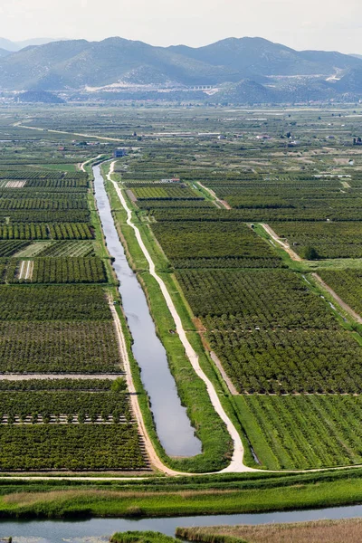 Delta Del Neretva Croacia Europa —  Fotos de Stock