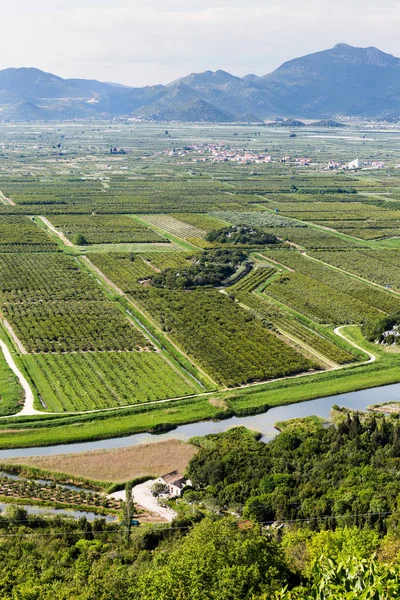 Neretva Delta Kroatien Europa — Stockfoto