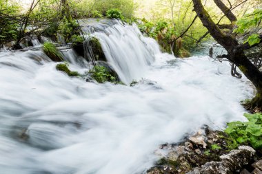 Plitvice Gölleri Ulusal Parkı, Hırvatistan. Küçük şelaleler