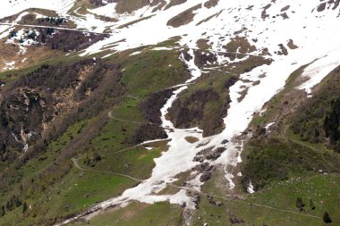 Bahar karı ve yamaçta ağaçlar. Austri içinde Grossglockner Pass