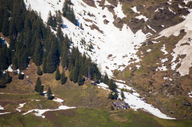Bahar karı ve yamaçta ağaçlar. Austri içinde Grossglockner Pass