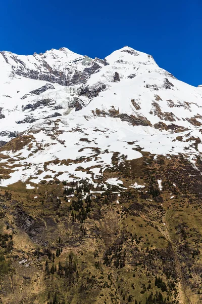 Nieve primaveral y árboles en la pendiente. Paso Grossglockner en Austri — Foto de Stock