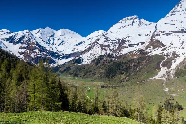 Nieve primaveral y árboles en la pendiente. Paso Grossglockner en Austri — Foto de Stock