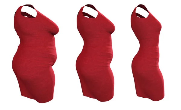 Εννοιολογική Λίπος Υπέρβαροι Παχύσαρκα Γυναικείο Φόρεμα Στολή Slim Fit Υγιές — Φωτογραφία Αρχείου