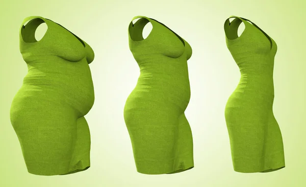 Gordura Conceitual Sobrepeso Obeso Roupas Femininas Slim Fit Corpo Saudável — Fotografia de Stock