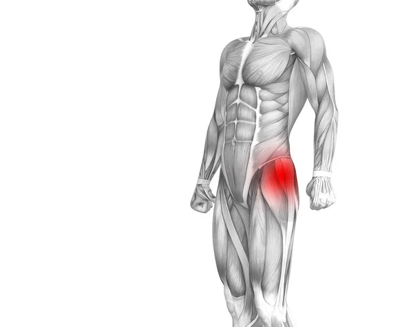 赤ホット スポット炎症関節関節痛足医療療法またはスポーツ筋概念と概念のヒップ人体解剖学 — ストック写真