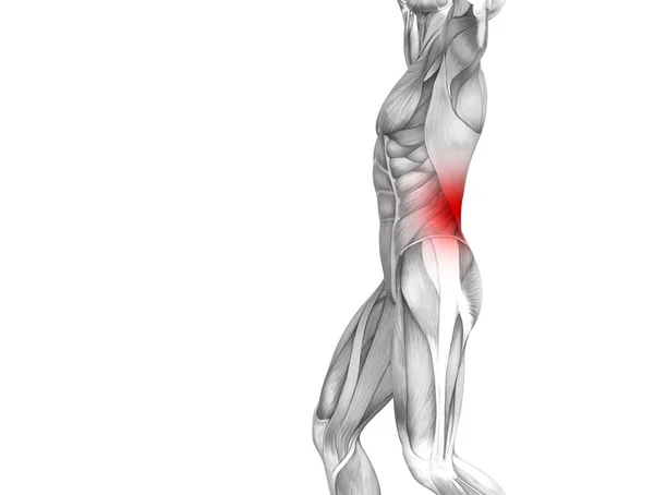 赤ホット スポット炎症関節関節痛や脊椎医療療法やスポーツ筋概念概念戻って人間の解剖学 — ストック写真
