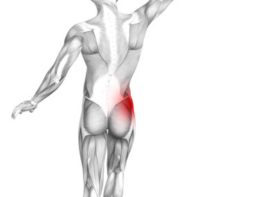 Kırmızı sıcak nokta inflamasyon eklem eklem ağrısı için bacak sağlık tedavi veya spor kas kavramı ile kavramsal hip insan anatomisi. 3D çizim adam artrit veya kemik boğaz osteoporoz hastalığı