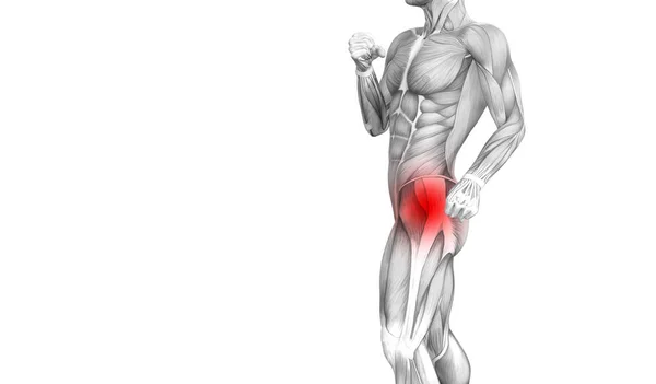 赤ホット スポット炎症関節関節痛足医療療法またはスポーツ筋概念と概念ヒップ人体解剖 イラスト人関節炎や骨痛骨粗鬆症病 — ストック写真