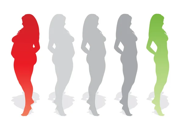 概念的な脂肪肥満肥満女性 減量後適合の健康的なボディをスリムまたは分離された筋肉薄い若い女性と食事 フィットネス 肥満肥満 健康シルエット図形 — ストック写真