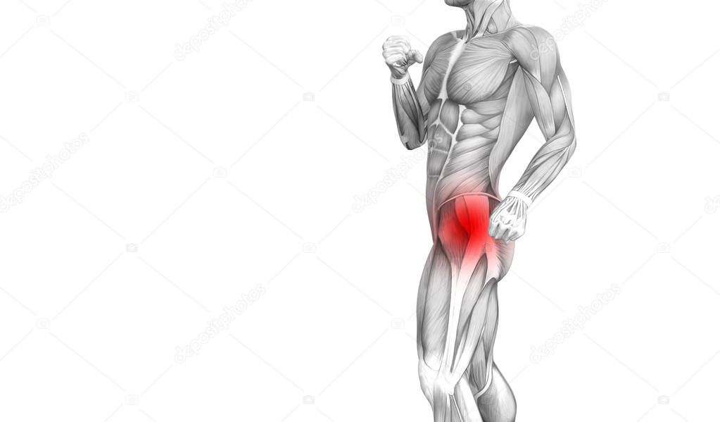 Conceptual hip human anatomy with red hot spot inflammation articular joint pain for leg health care therapy or sport muscle concepts. 3D illustration man arthritis or bone sore osteoporosis disease