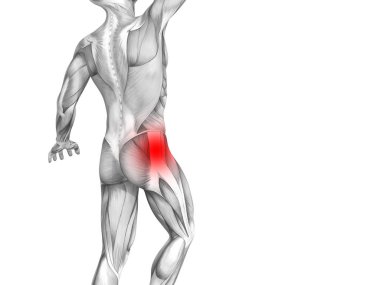Kırmızı sıcak nokta inflamasyon eklem eklem ağrısı için bacak sağlık tedavi veya spor kas kavramı ile kavramsal hip insan anatomisi. 3D çizim adam artrit veya kemik boğaz osteoporoz hastalığı