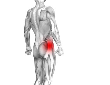 Kırmızı sıcak nokta inflamasyon eklem eklem ağrısı için bacak sağlık tedavi veya spor kas kavramı ile kavramsal hip insan anatomisi. 3D çizim adam artrit veya kemik boğaz osteoporoz hastalığı